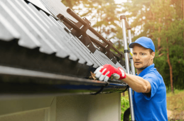 appleton gutter service